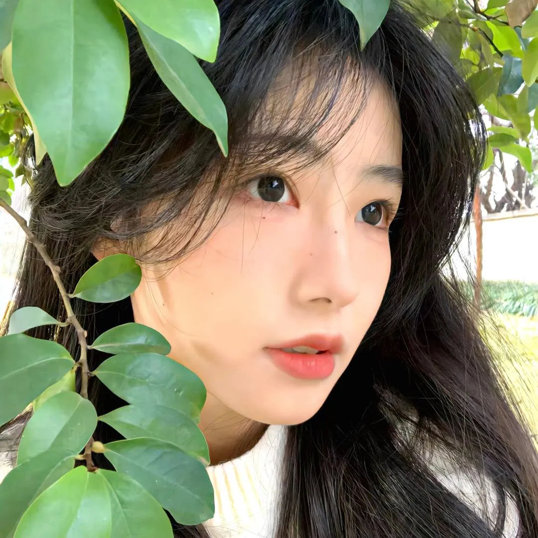 剧场版 BLOOD-C The Last Dark